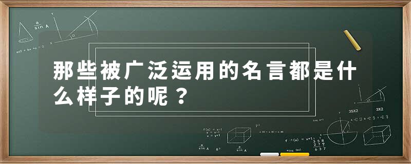 那些被广泛运用的名言都是什么样子的呢？