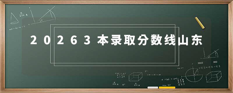 20263本录取分数线山东