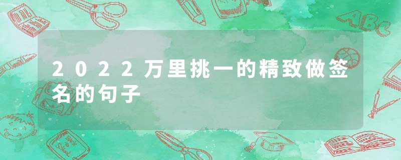 2022万里挑一的精致做签名的句子