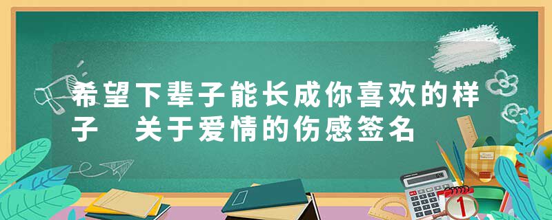 希望下辈子能长成你喜欢的样子 关于爱情的伤感签名