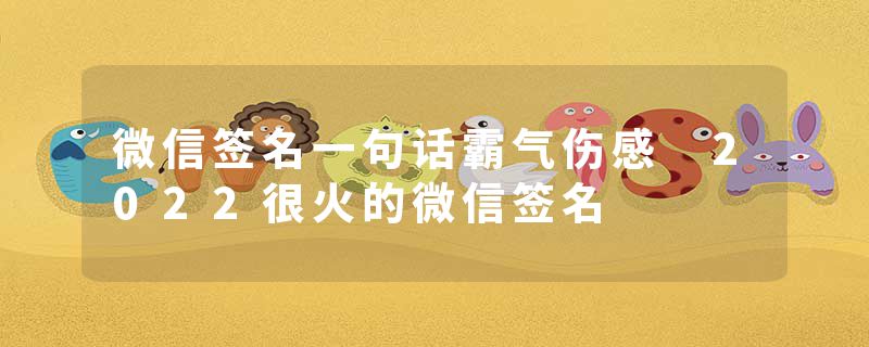 微信签名一句话霸气伤感 2022很火的微信签名