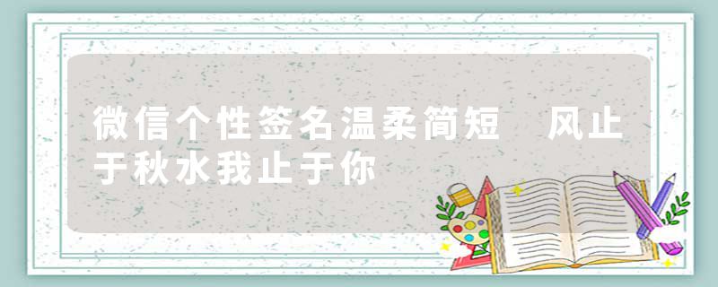 微信个性签名温柔简短 风止于秋水我止于你