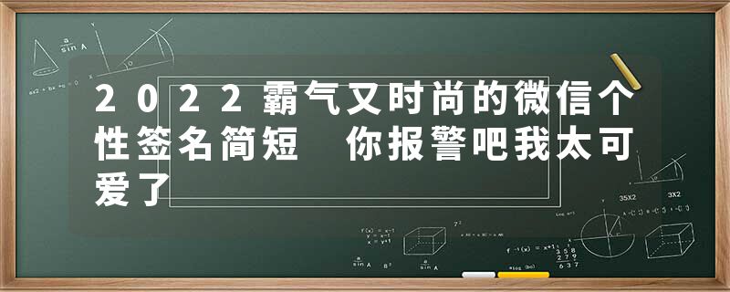 2022霸气又时尚的微信个性签名简短 你报警吧我太可爱了