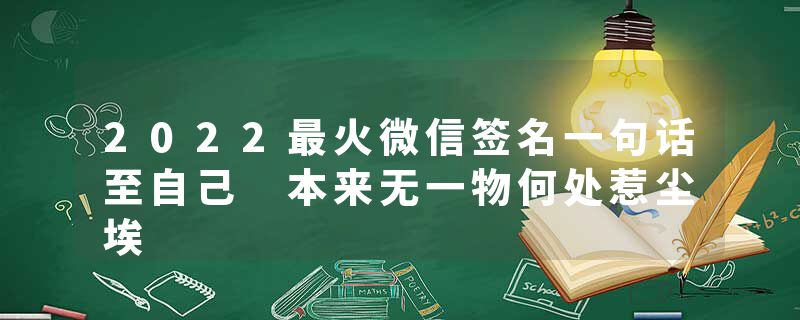 2022最火微信签名一句话至自己 本来无一物何处惹尘埃