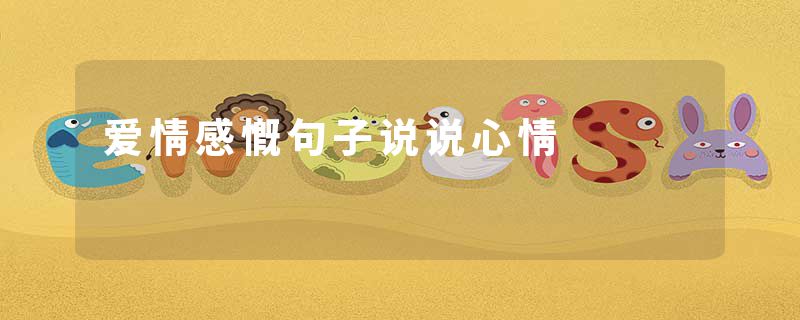 爱情感慨句子说说心情