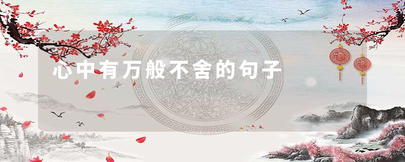 心中有万般不舍的句子