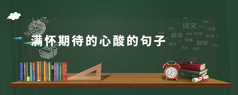 满怀期待的心酸的句子
