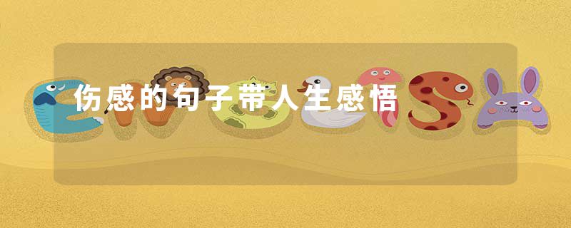 伤感的句子带人生感悟