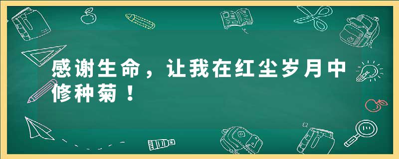 感谢生命，让我在红尘岁月中修种菊！