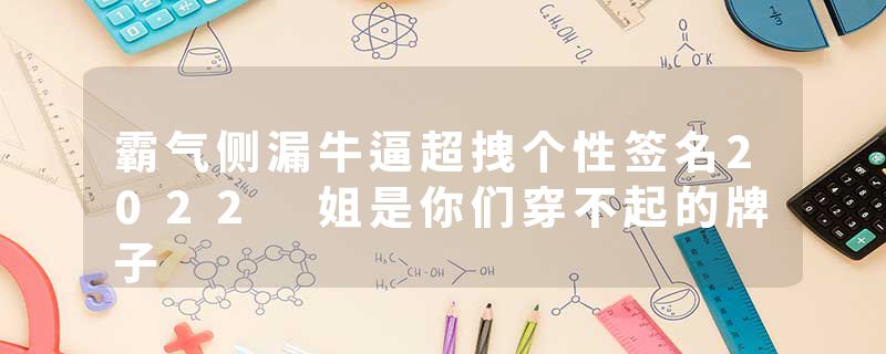 霸气侧漏牛逼超拽个性签名2022 姐是你们穿不起的牌子