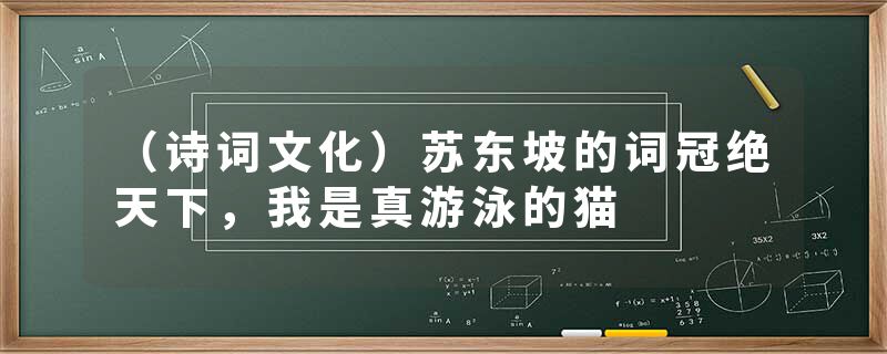 （诗词文化）苏东坡的词冠绝天下，我是真游泳的猫