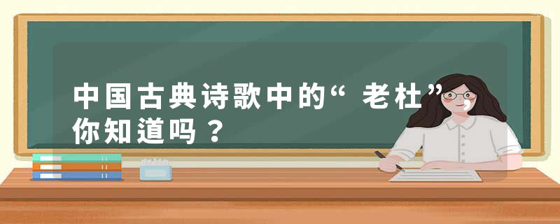 中国古典诗歌中的“老杜”，你知道吗？