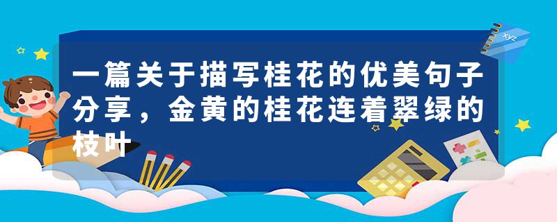 一篇关于描写桂花的优美句子分享，金黄的桂花连着翠绿的枝叶