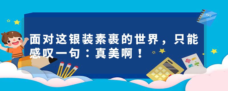 面对这银装素裹的世界，只能感叹一句：真美啊！