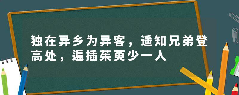 独在异乡为异客，遥知兄弟登高处，遍插茱萸少一人