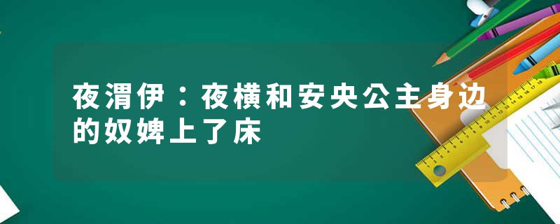 夜渭伊：夜横和安央公主身边的奴婢上了床