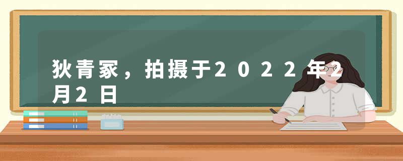 狄青冢，拍摄于2022年2月2日