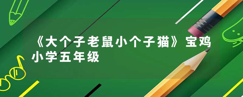 《大个子老鼠小个子猫》宝鸡小学五年级