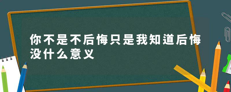 你不是不后悔只是我知道后悔没什么意义