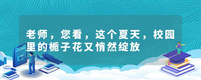 老师，您看，这个夏天，校园里的栀子花又悄然绽放