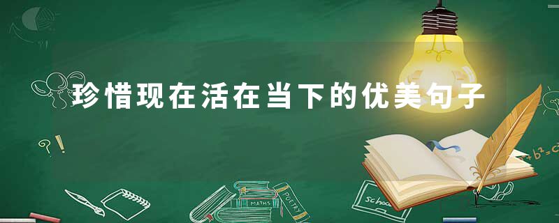 珍惜现在活在当下的优美句子