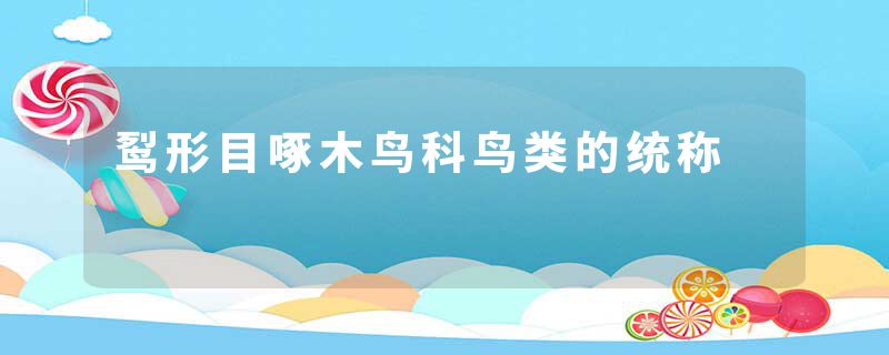 䴕形目啄木鸟科鸟类的统称