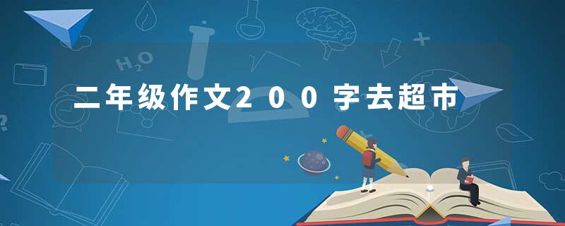 二年级作文200字去超市