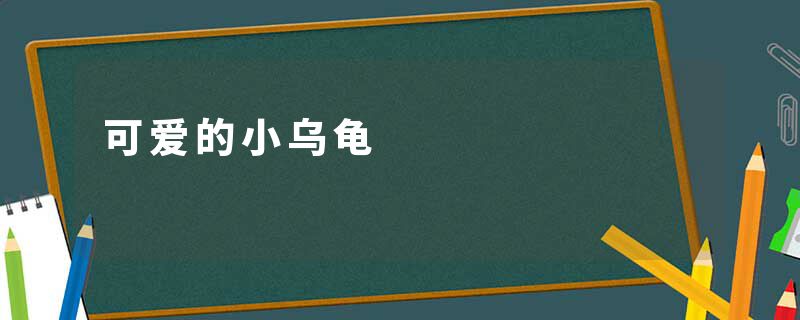 可爱的小乌龟