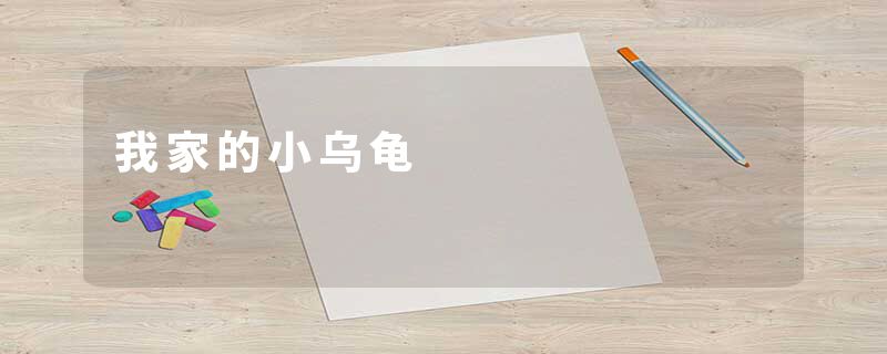 我家的小乌龟