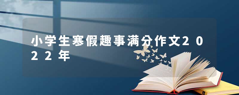 小学生寒假趣事满分作文2022年