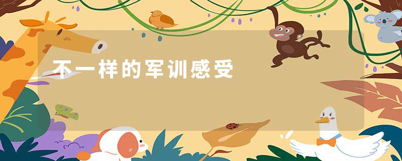 不一样的军训感受