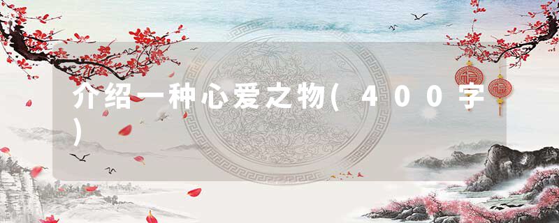 介绍一种心爱之物(400字)