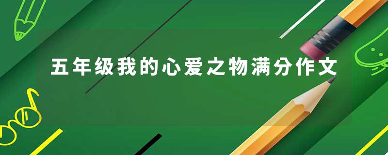 五年级我的心爱之物满分作文