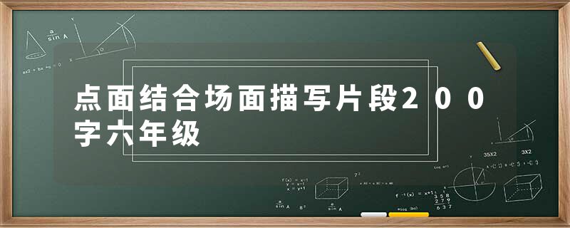 点面结合场面描写片段200字六年级