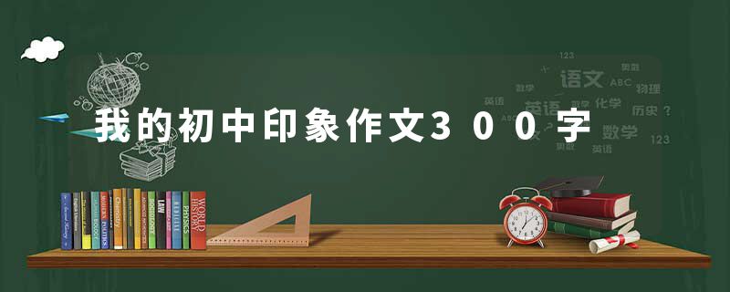 我的初中印象作文300字