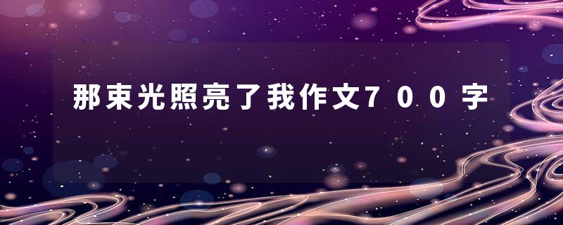 那束光照亮了我作文700字