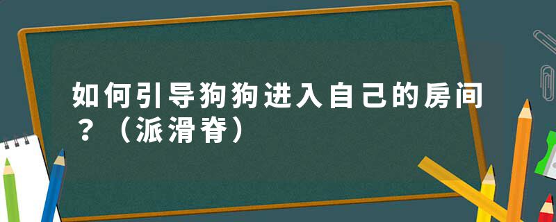 如何引导狗狗进入自己的房间？（派滑脊）