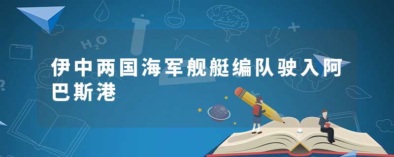 伊中两国海军舰艇编队驶入阿巴斯港