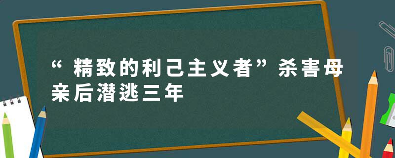 “精致的利己主义者”杀害母亲后潜逃三年