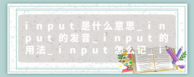input是什么意思_input的发音_input的用法_input怎么记_input翻译