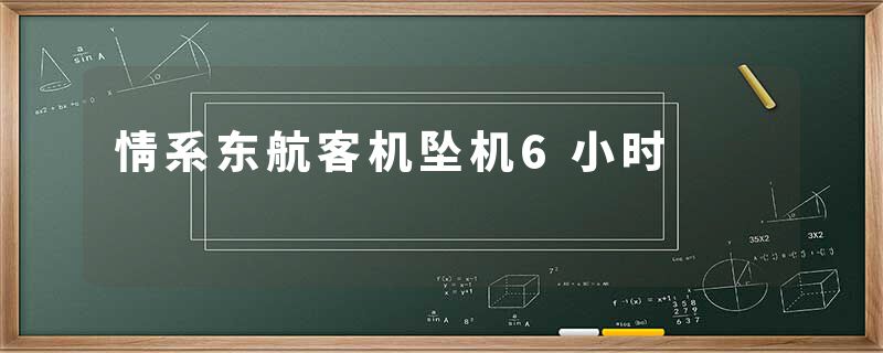 情系东航客机坠机6小时