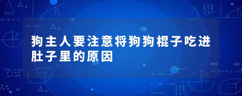 狗主人要注意将狗狗棍子吃进肚子里的原因