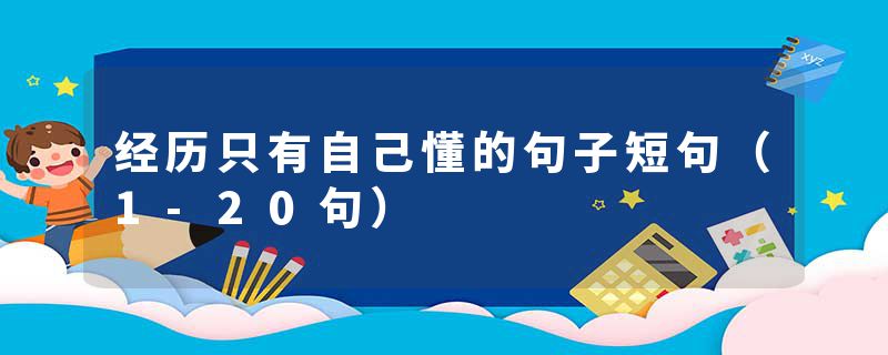 经历只有自己懂的句子短句（1-20句）