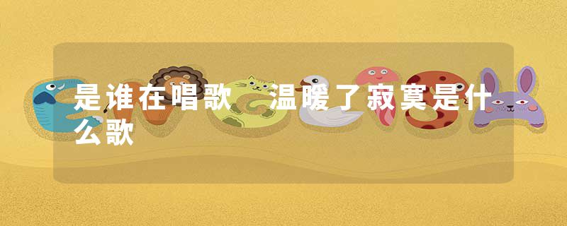 是谁在唱歌 温暖了寂寞是什么歌