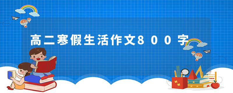 高二寒假生活作文800字