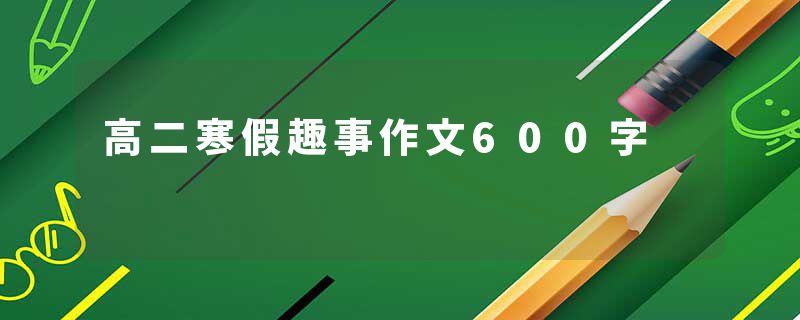 高二寒假趣事作文600字