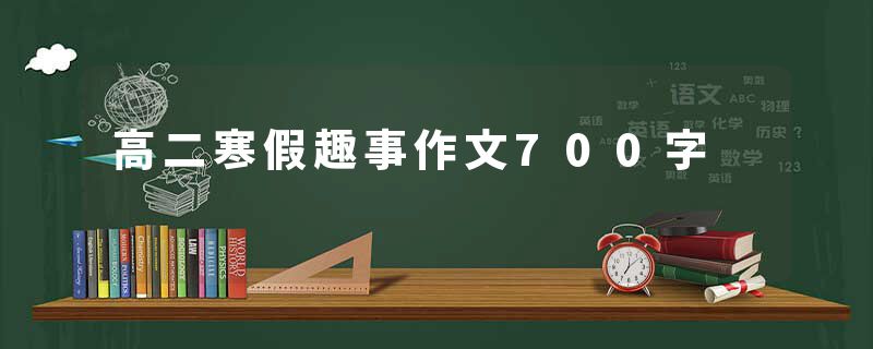 高二寒假趣事作文700字