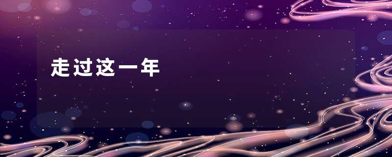 走过这一年