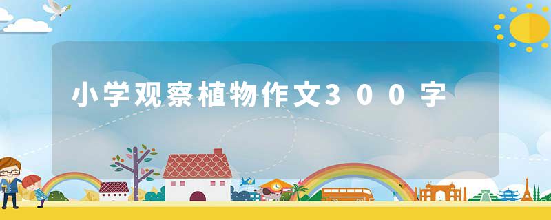 小学观察植物作文300字