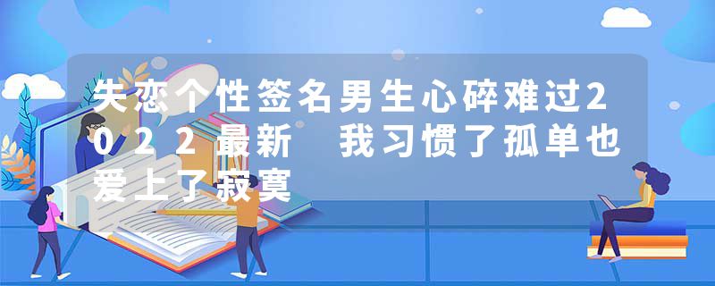 失恋个性签名男生心碎难过2022最新 我习惯了孤单也爱上了寂寞